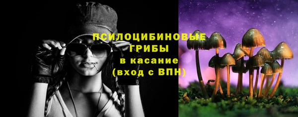 ALPHA PVP Нягань