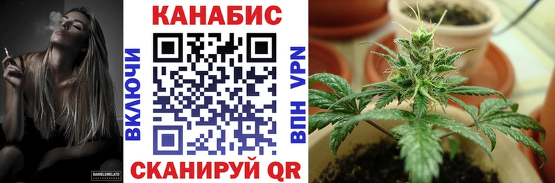 Канабис планчик  хочу наркоту  Мураши 